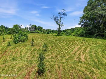 0 Old Tazewell Pike, Corryton, TN 37721