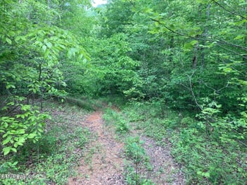0 Old Us Highway 27 Mtn View Rd, Robbins, TN 37852