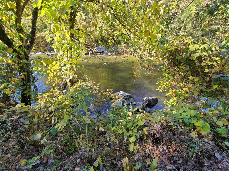 0 Old Walland Hwy, Townsend, TN 37882
