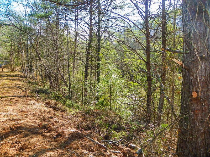 0 Oldham Springs Way, Sevierville, TN 37862