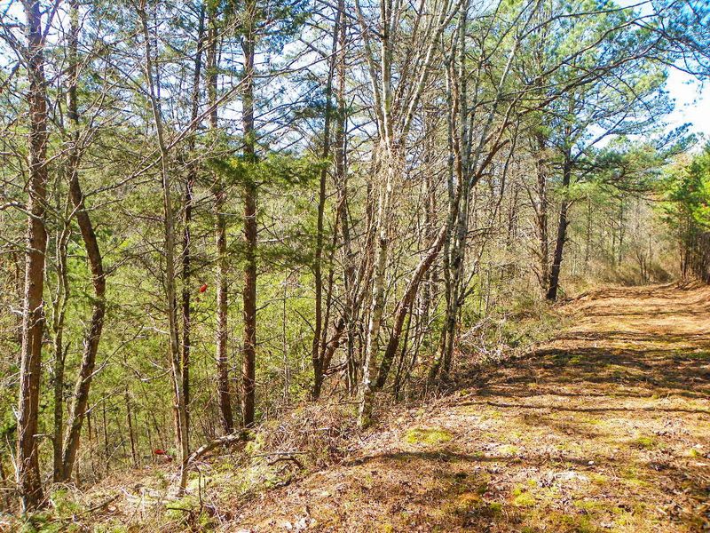 0 Oldham Springs Way, Sevierville, TN 37862