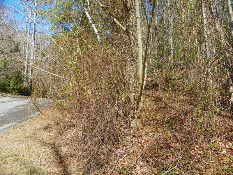 0 Oldham Springs Way, Sevierville, TN 37876