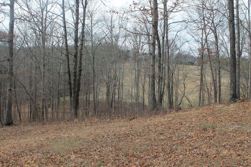 0 Oldholderford Rd, Kingston, TN 37763