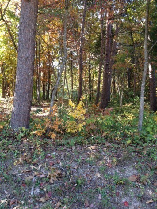 0 Oligi Cir, Loudon, TN 37774