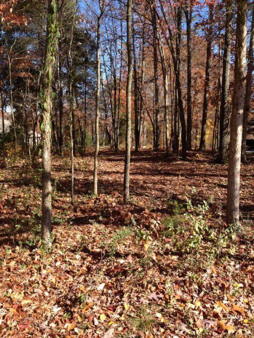 0 Oligi Cir, Loudon, TN 37774