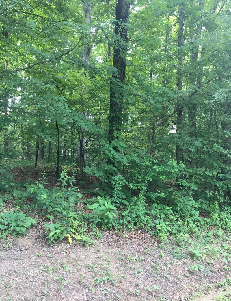 0 Oohleeno Way, Loudon, TN 37774