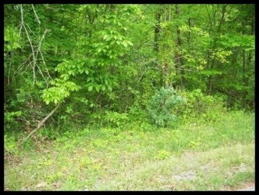 0 Osage Ln, Loudon, TN 37774