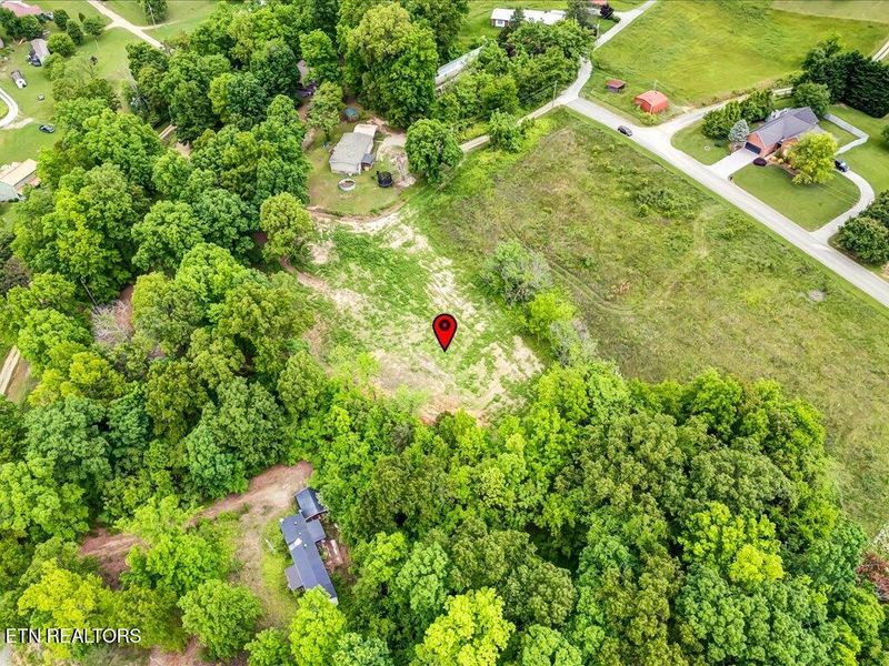 0 Ostrich Ln, Rutledge, TN 37861