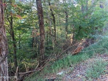 0 Overholt Tr, Sevierville, TN 37862