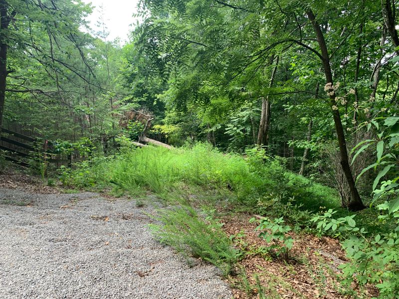 0 Overlook Ct, Sevierville, TN 37876