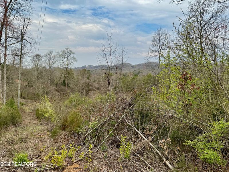 0 Overlook Ln, Clinton, TN 37716