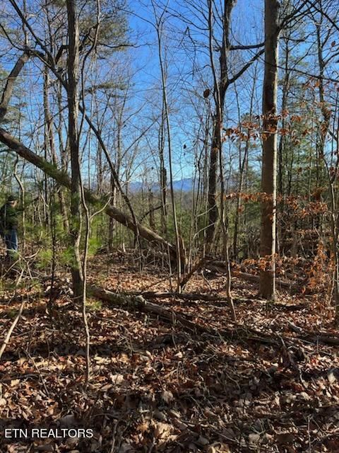 0 Overlook View Rd, Walland, TN 37886