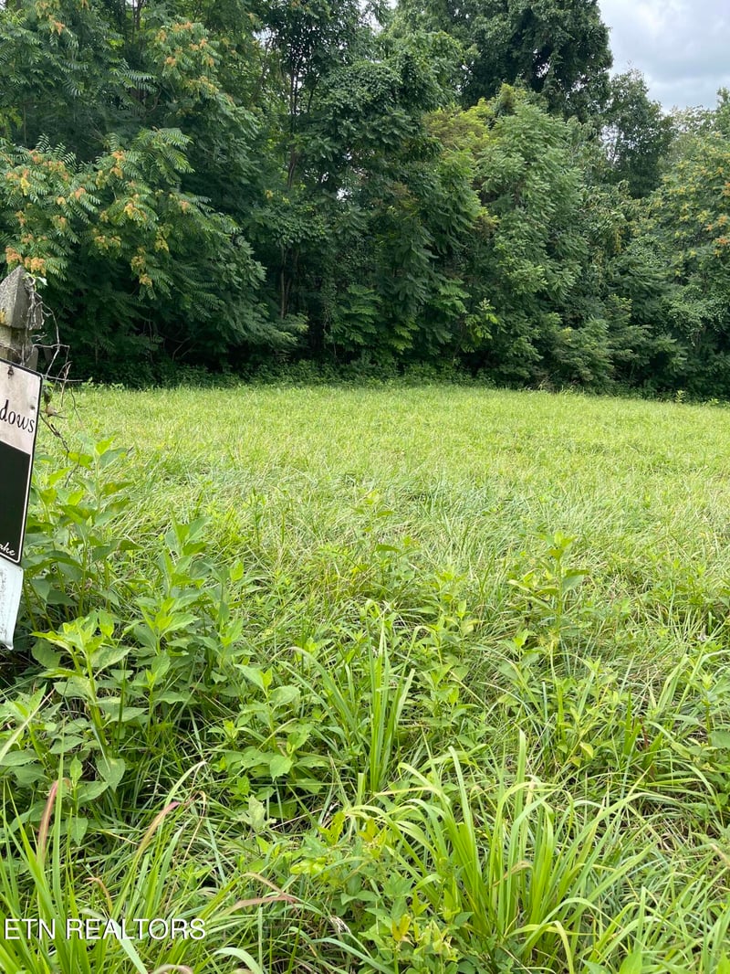0 Overton Rd Lot 2, Maynardville, TN 37807