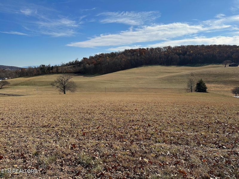 0 Owl Hole Gap Rd, Rutledge, TN 37861