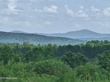 0 Owl Ridge Way, Sunbright, TN 37872