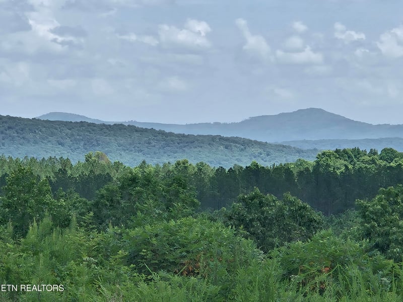 0 Owl Ridge Way, Sunbright, TN 37872