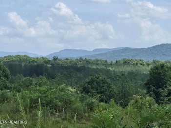 0 Owl Ridge Way, Sunbright, TN 37872