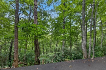 0 Ownby Cir, Gatlinburg, TN 37738