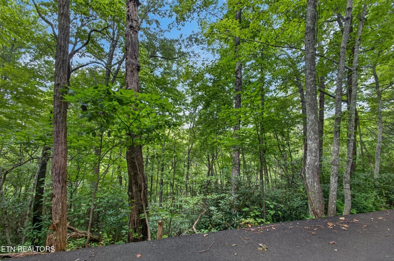 0 Ownby Cir, Gatlinburg, TN 37738