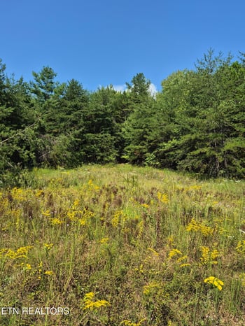 0 Ozone Access Rd, Rockwood, TN 37854
