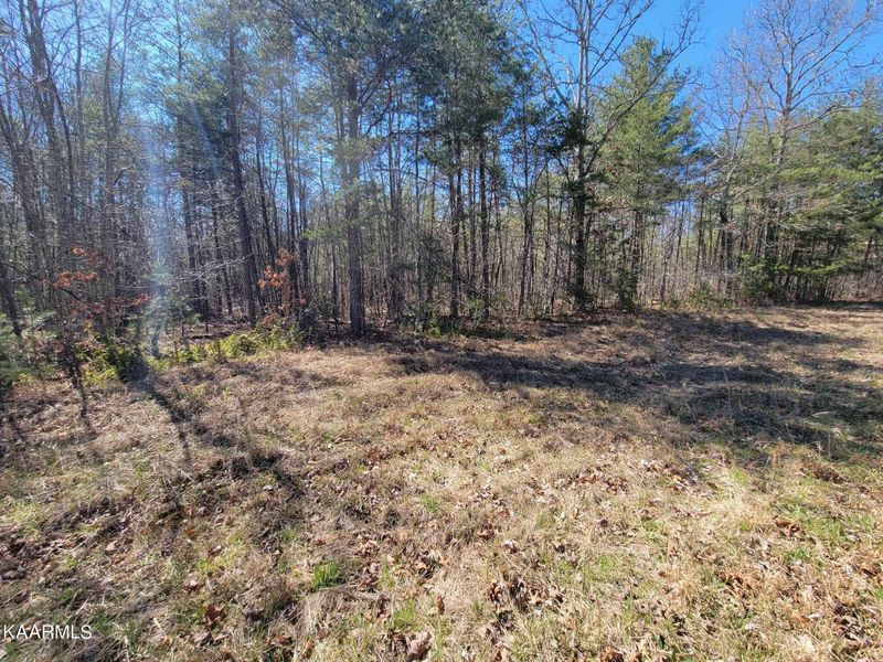 0 Paige Ln, Deer Lodge, TN 37726