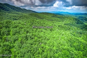 0 Paint Horse Way Lot #10, Sevierville, TN 37876