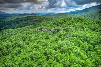 0 Paint Horse Way Lot #9, Sevierville, TN 37876
