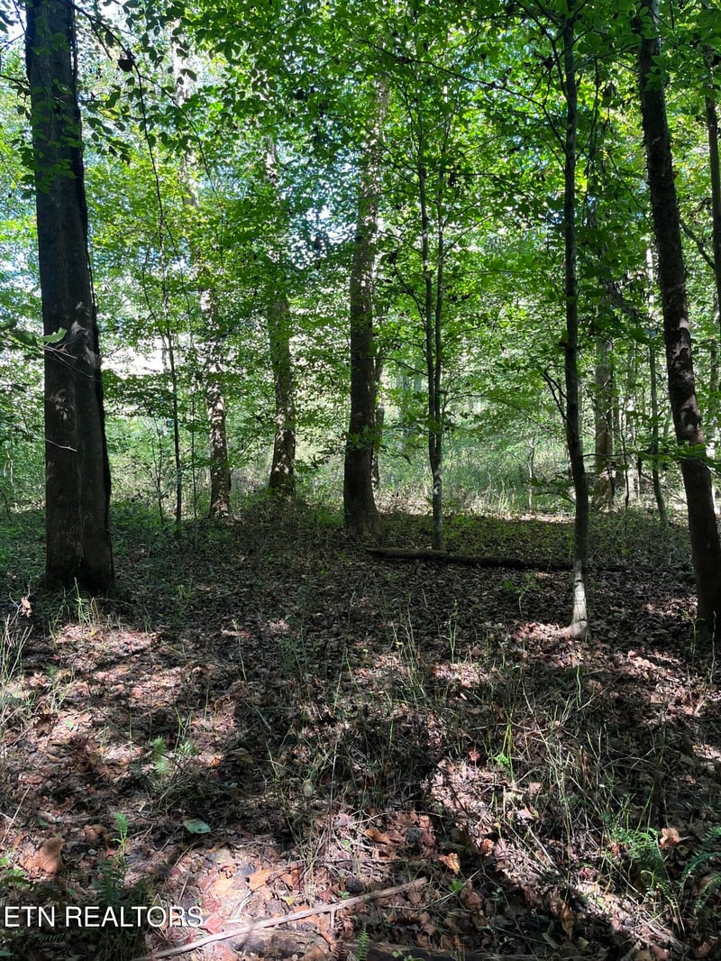 0 Paint Rock Buffalo Creek Rd, Oneida, TN 37841