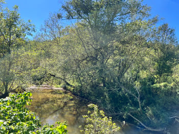 0 Paint Rock Buffalo Creek Rd, Oneida, TN 37841