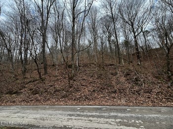 0 Paint Rock Creek, Oneida, TN 37841