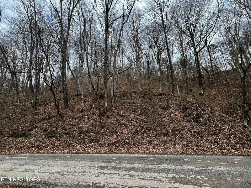 0 Paint Rock Creek, Oneida, TN 37841