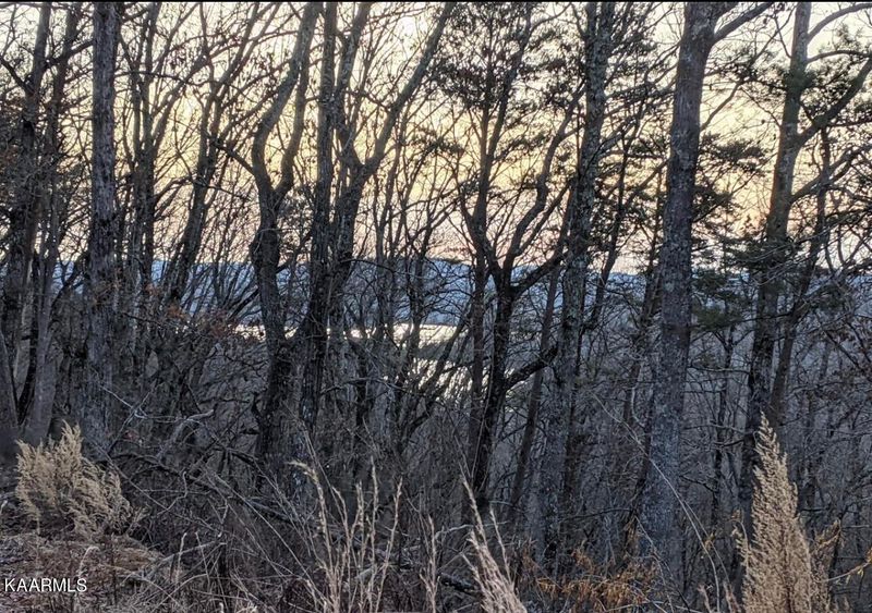 0 Paint Rock Ferry Rd, Kingston, TN 37763