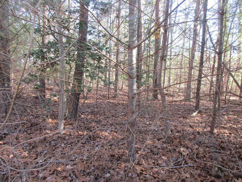 0 Pamala Ln, Fairfield Glade, TN 38558