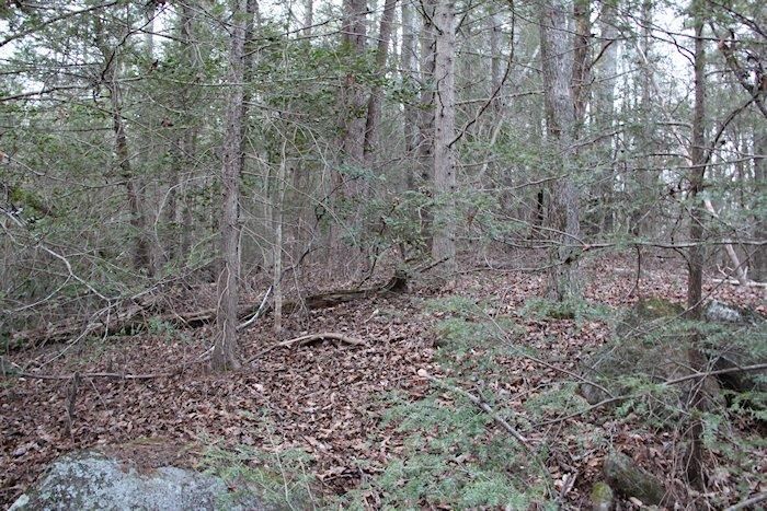 0 Parcel 058 00 Pearl Valley Rd, Sevierville, TN 37876