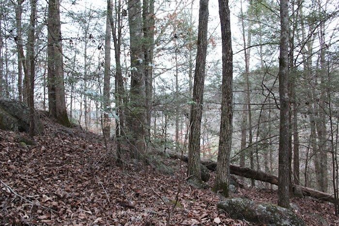 0 Parcel 058 00 Pearl Valley Rd, Sevierville, TN 37876