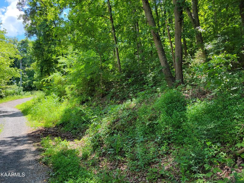 0 Parcel 3 01 Creswell Rd, Seymour, TN 37865