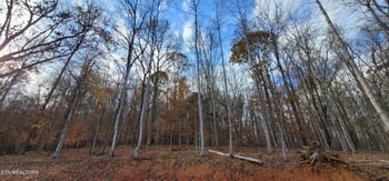 0 Park Ln, Andersonville, TN 37705