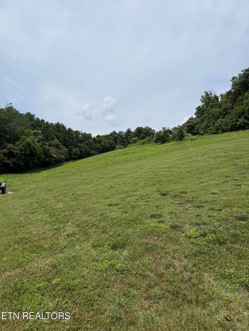 0 Parks Ferry Rd Lot 1, Friendsville, TN 37737