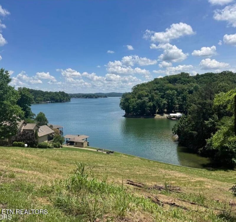 0 Parks Ferry Rd Lot 1, Friendsville, TN 37737