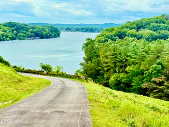 0 Parks Ferry Rd Lot 1, Friendsville, TN 37737