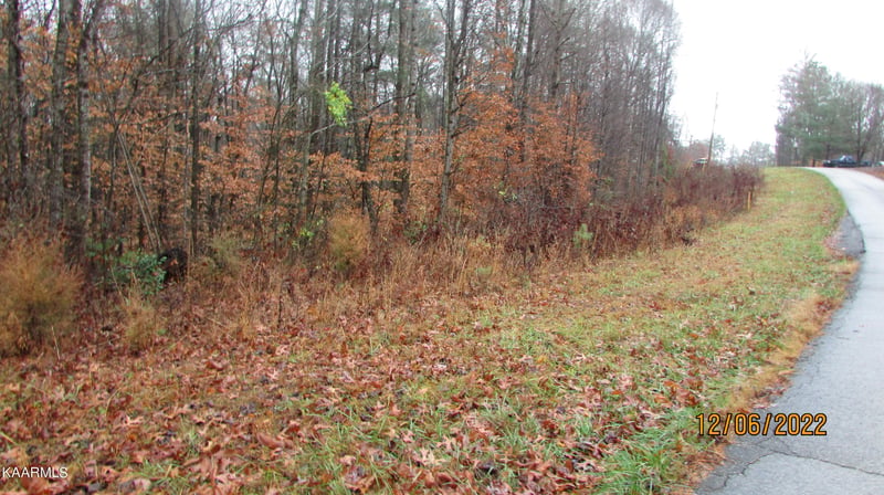 0 Patton Rd Lot 4, Wartburg, TN 37887