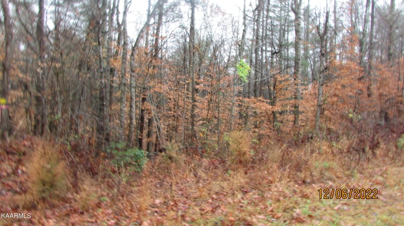 0 Patton Rd Lot 4, Wartburg, TN 37887