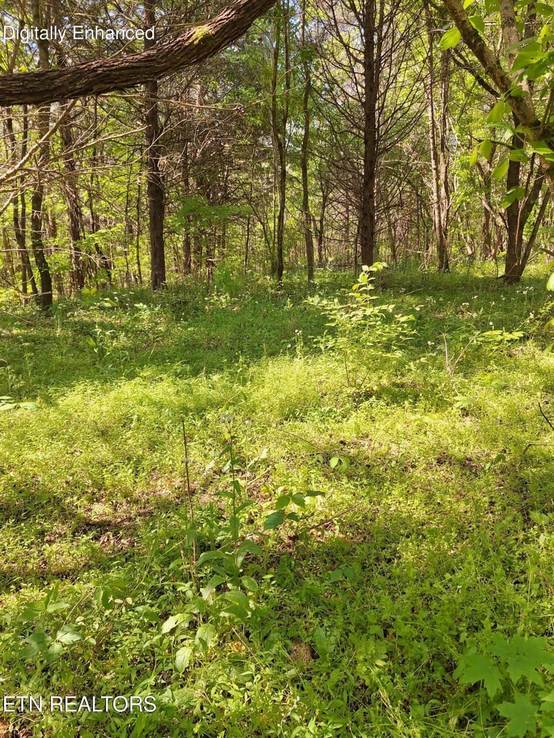 0 Payne Rd, Tellico Plains, TN 37385