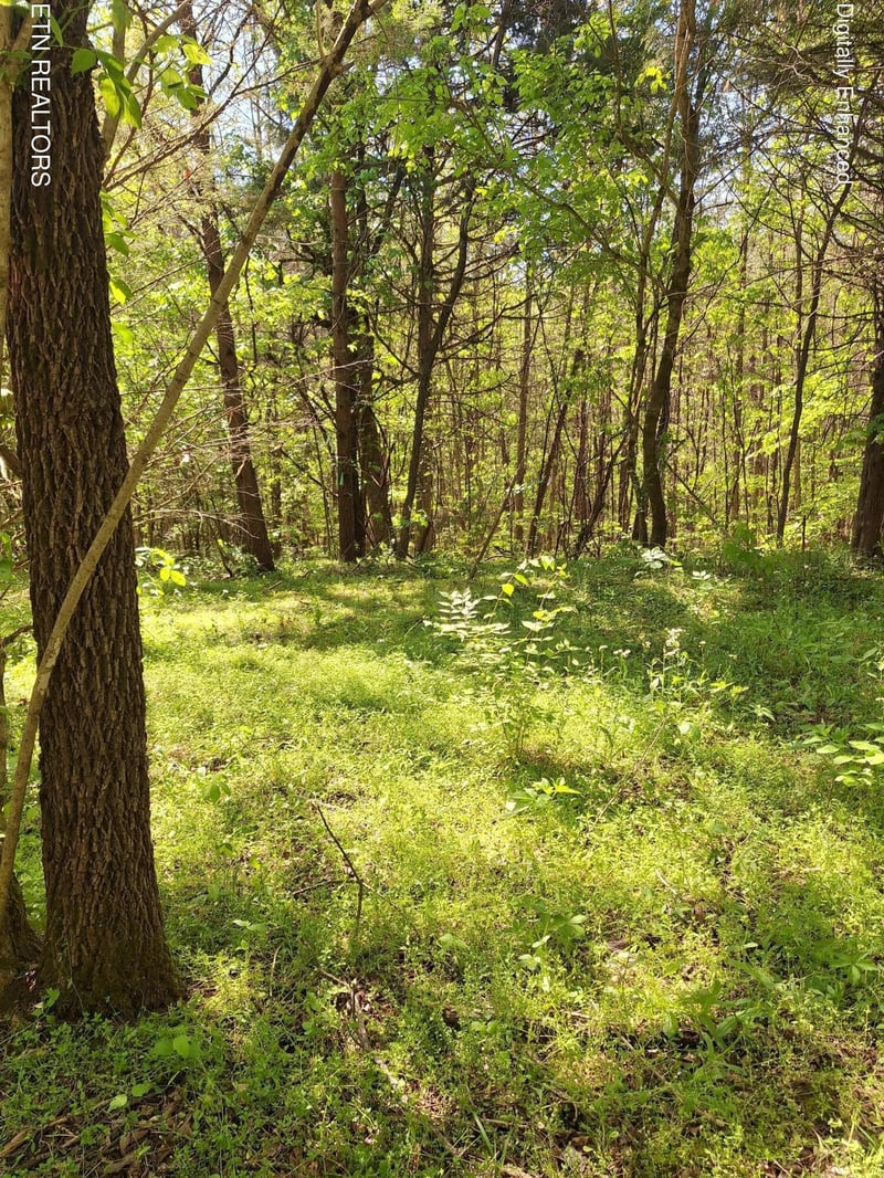 0 Payne Rd, Tellico Plains, TN 37385