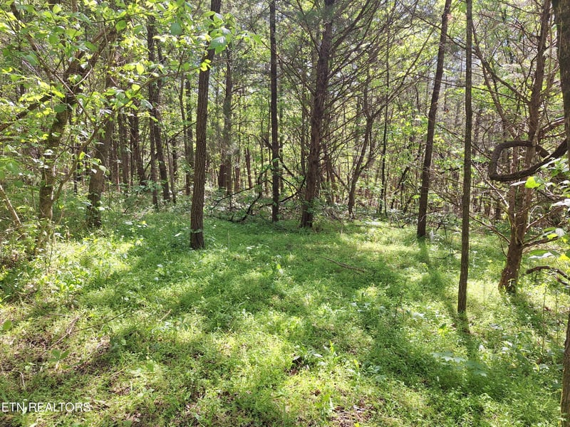 0 Payne Rd, Tellico Plains, TN 37385