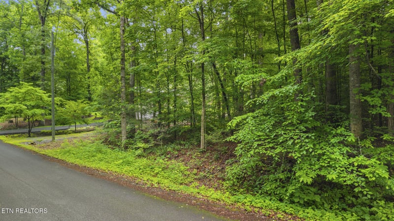 0 Peach Tree St, Sevierville, TN 37862