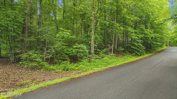 0 Peach Tree St, Sevierville, TN 37862