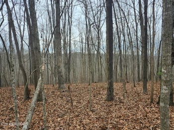 0 Peacock Rd, Deer Lodge, TN 37726