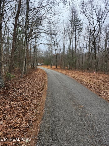 0 Peacock Rd, Deer Lodge, TN 37726