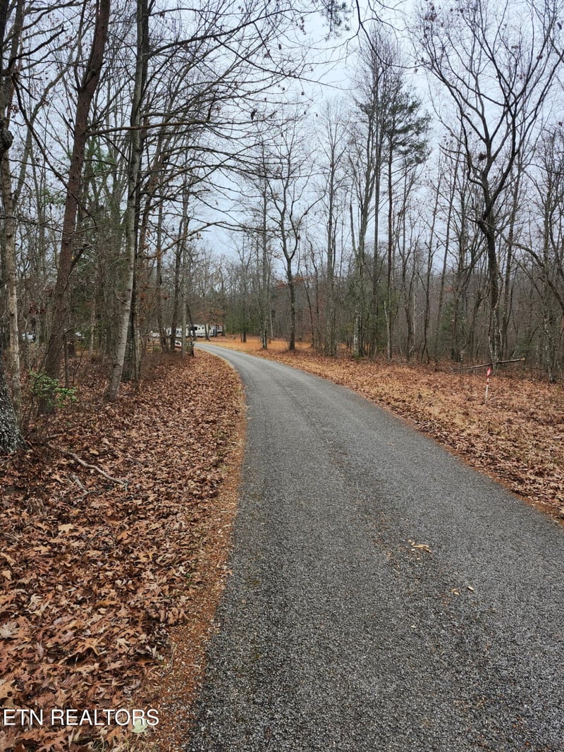 0 Peacock Rd, Deer Lodge, TN 37726